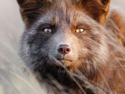 Gemes Banget! Begini Potret Hewan yang Fotogenik