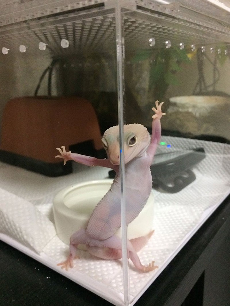 fotoinet Gemes Banget, Begini Potret Hewan yang Fotogenik