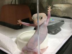 Gemes Banget! Begini Potret Hewan yang Fotogenik