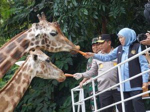 Sebagai Arek Suroboyo Asli, Khofifah Ngaku Sering ke KBS
