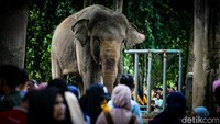 Taman Margasatwa Ragunan terpantau semakin ramai sejak siang hingga sore hari ini. 