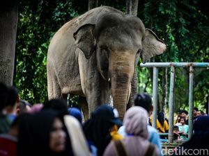 Libur Idul Adha, 17.748 Wisatawan Padati Ragunan Siang Ini