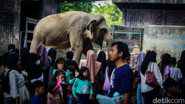 H+2 Lebaran, Taman Margasatwa Ragunan Rame Banget