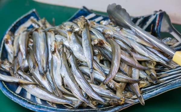 5 Fakta Ikan Shisamo, Ikan Laut Mahal yang Dimakan Rayyanza