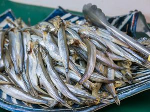 7 Manfaat Ikan Shisamo yang Kaya Akan Telur dan Rekomendasi Resepnya
