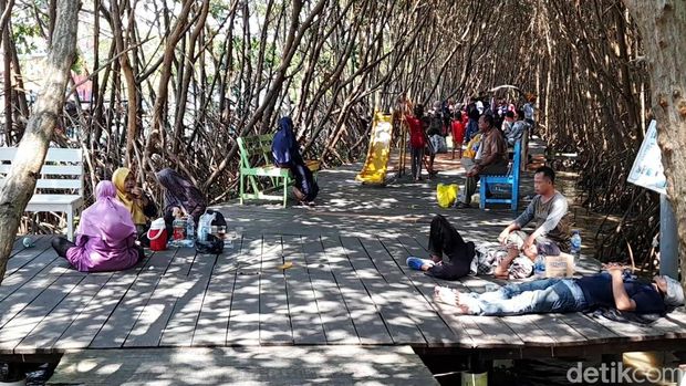 Kawasan hutan mangrove Desa Kaliwlingi, Brebes, Senin (24/4/2023).