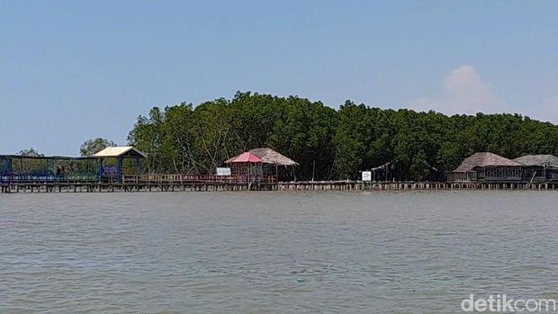 Kawasan hutan mangrove Desa Kaliwlingi, Brebes, Senin (24/4/2023).