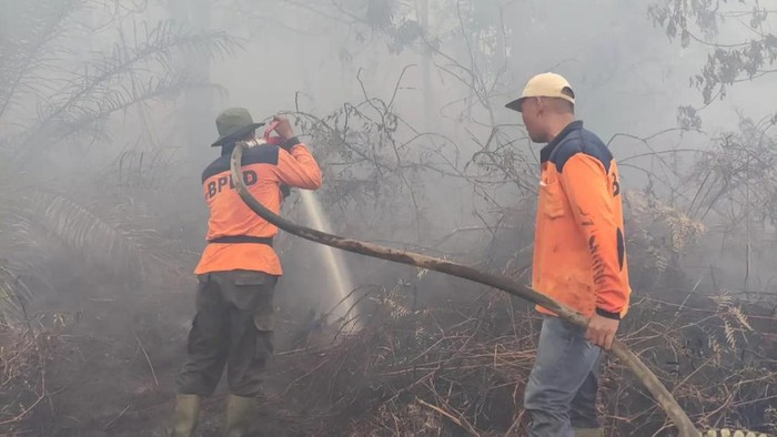Kebakaran lahan di Dumai (Dok BPBD Riau)