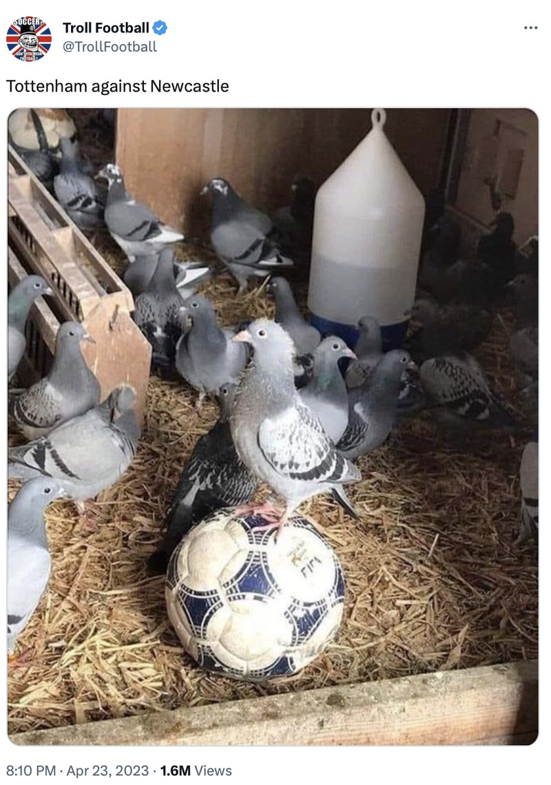 Meme Newcastle vs Tottenham.
