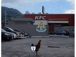 Meme Kocak Tottenham Babak Belur Dihajar Newcastle United