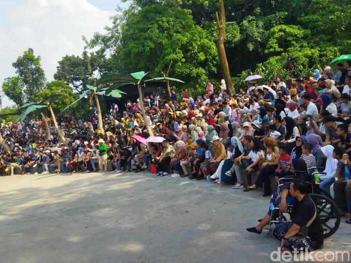 Pengunjung Solo Safari Zoo membeludak saat libur lebaran, Senin (24/4/2023).