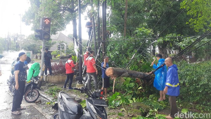 Pohon tumbang hingga menyebabkan kabel layanan komunikasi mentup akses Jalan Imam Bonjol (Raja Malo Sinaga/detikSumut)