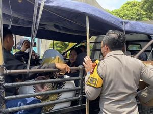 Polisi Imbau Warga Hati-hati Naik Pikap ke Ragunan: Kasihan Anak Kecil