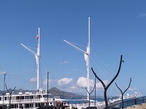 Jokowi ke Labuan Bajo, Pelaku Pariwisata Minta Keadilan Tarif TN Komodo