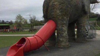 Desain perosotan yang unik. Foto:unknown456 via Bored Panda