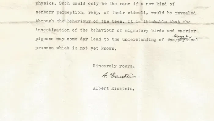 Albert Einstein menulis surat mengenai perlunya penelitian terhadap migrasi burung yang dia anggap spesial. Terbukti benar 70 tahun kemudian.