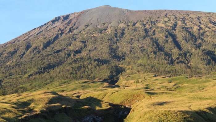 Ilustrasi Gunung Rinjani Lombok.