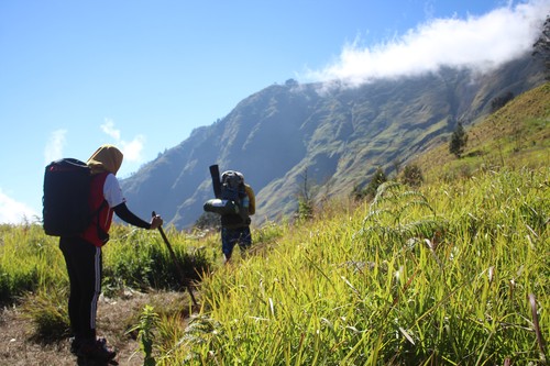 Ilustrasi Gunung Rinjani Lombok.