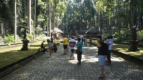 Turis mengunjungi Hutan Pala Sangeh, beri makan monyet sambil berfoto.