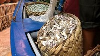 Museu da Gastronomia Maranhense menonjolkan budaya kuliner Brazil yang masih alami. Termasuk beberapa hasil tangkapan laut para nelayan yang biasa dikonsumsi masyarakat Brazil. Foto: dok. Museu de Gastronomia Maranhense