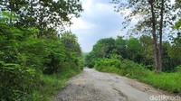 Beginilah jalan menuju ke tempat bertuah, Makam Janjang di Jiken, Blora. Jalanan menuju ke sana sangatlah rusak saat memasuki kawasan hutan jati.