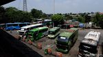 Arus Balik, Pemudik Mulai Berdatangan di Terminal Kampung Rambutan