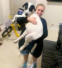 fotoinet ukuran anjing super besar