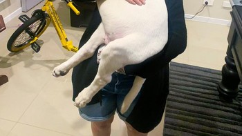 “Istri saya dan anak anjing kami yang baru berumur 16 minggu. Kami pikir dia akan menjadi besar.” Foto: Brightside