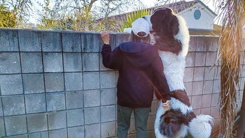 “Anak anjing penyelamat kami, baru berusia 11,5 bulan” Foto: Brightside