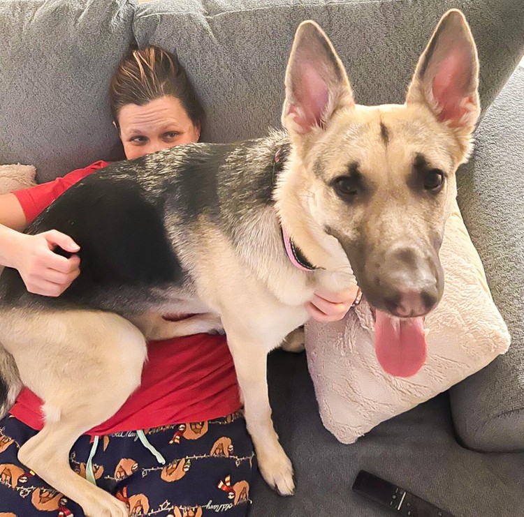 fotoinet ukuran anjing super besar