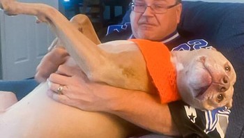 Anjing piaraanku seberat 31 kg menunjukkan senyumnya yang indah. Foto: Brightside