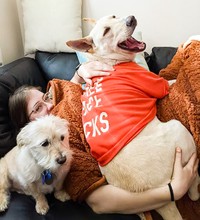 fotoinet ukuran anjing super besar