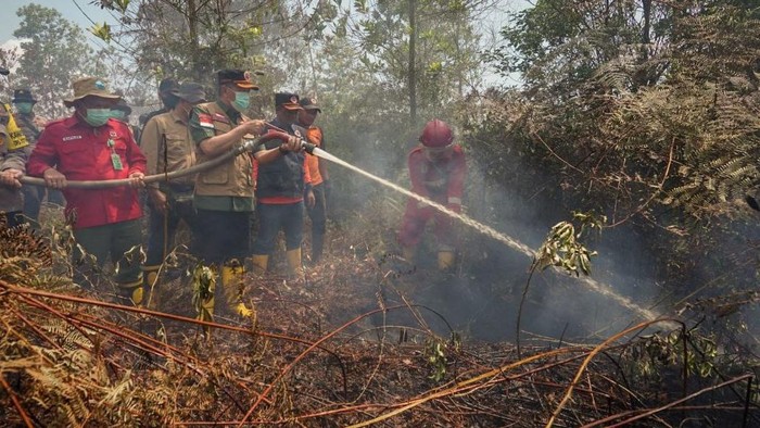 Gubernur meninjau Karhutla di Kota Dumai dan Bengkalis (Foto: Dok Diskominfotik Riau)