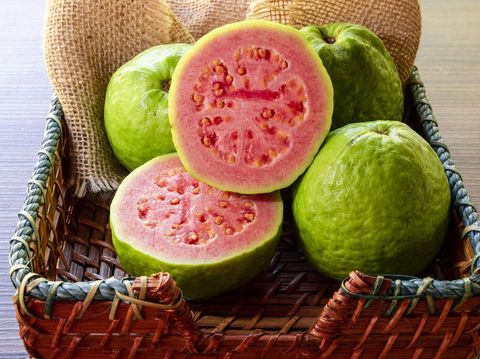 Ilustrasi jambu biji Ilustrasi jambu biji