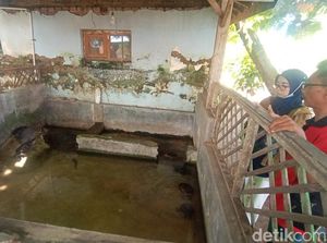 Kisah Sunan Muria dan Santri Mbah Dudo di Balik Tradisi Bulusan Kudus