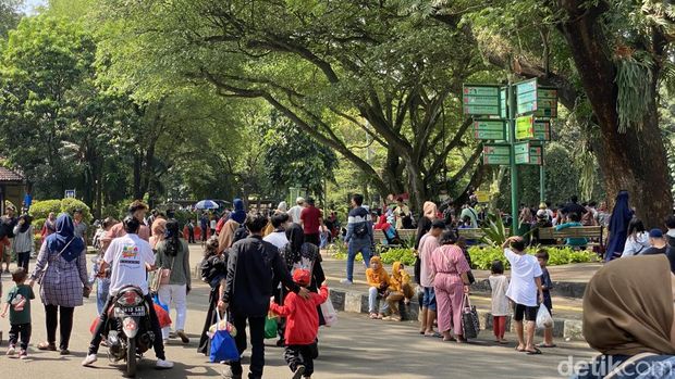 Lalin menuju Ragunan pukul 10.24 WIB. (Devi/detikcom)
