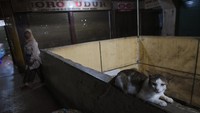 Sejumlah pedagang setempat menyebutkan aktivitas jual beli di pasar tersebut relatif sepi atau masih belum normal karena sebagian pedagangnya masih mudik lebaran ke kampung halaman mereka.
