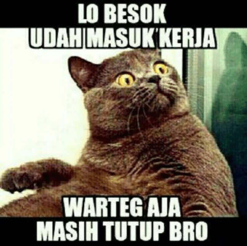 Meme masuk kerja