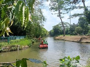 Harga Tiket Masuk Ragunan Terupdate dan Cara Beli Tiketnya