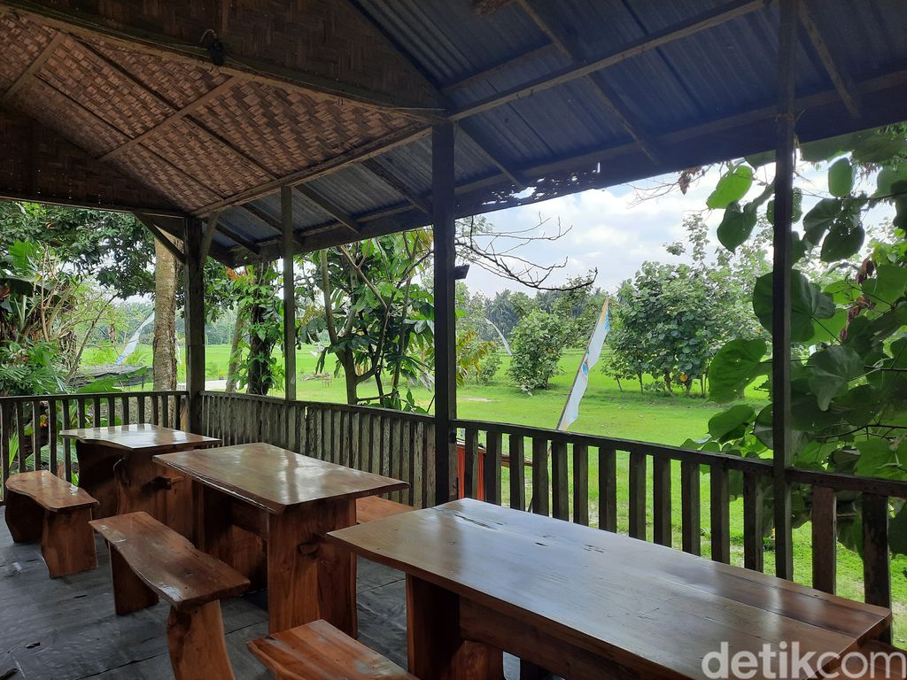 Rumah belajar Togu Simorangkir