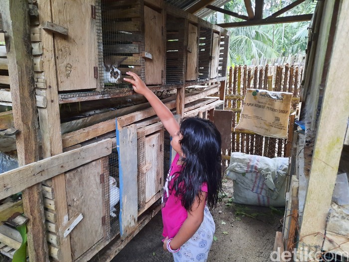 Rumah belajar Togu Simorangkir