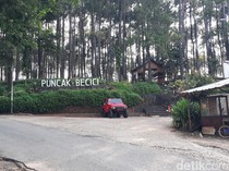 6 Aktivitas Menarik di Puncak Pinus Becici Jogja, Bisa Lihat City Light