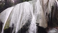 Tirta Rimba