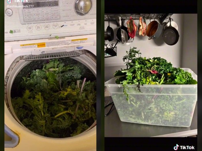 Bagikan Tips Makan dan Masak Hemat, Orang-orang Ini Malah Kena Hujat