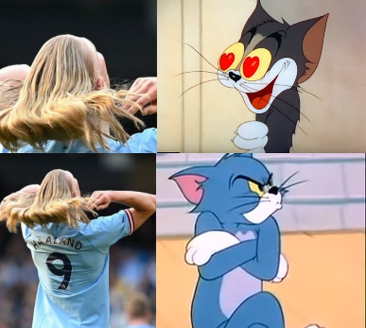 Erling Haaland Erling Haaland