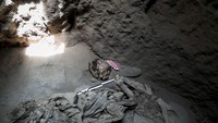 Mumi itu berusia lebih dari 1000 tahun dan ditemukan di sebuah makam bawah tanah yang dibungkus dengan bungkusan penguburan dan dalam kondisi konservasi yang baik termasuk potongan kulit dan rambut. Klebher Vasquez/Anadolu Agency via Getty Images