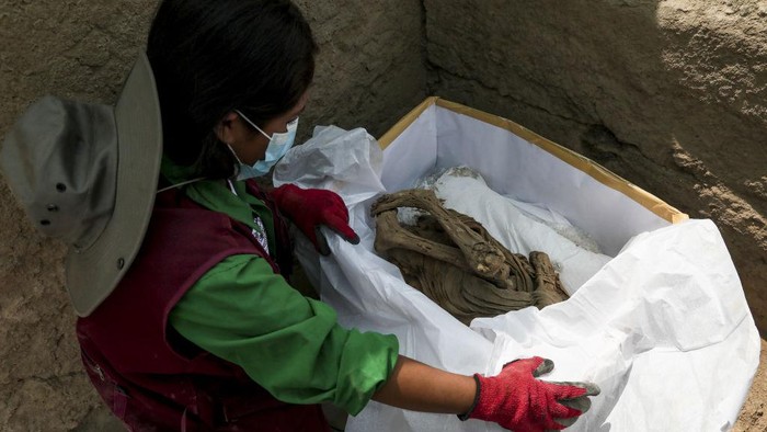 Mumi berusia 1.000-an tahun ditemukan di Lima, Peru. Mumi itu diperkirakan dari masa sebelum kebudayaan Inca.