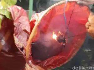 Heboh Balon Udara Jatuh di Rumah Warga Ponorogo dengan Api Masih Nyala