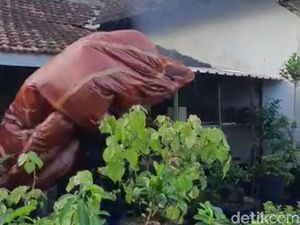 Bahayanya Balon Udara Bisa Ganggu Penerbangan hingga Picu Ledakan
