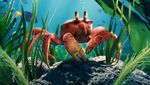 Para Karakter The Little Mermaid Versi Animasi Versus Live Action